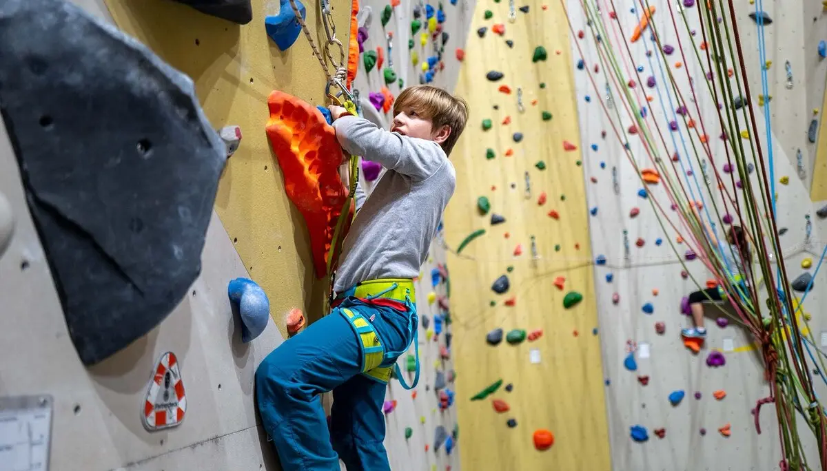 © Copyright: Vinzenz Schultz