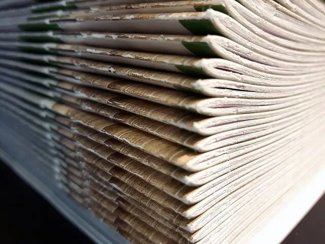 © Bild von justynaandryszek auf Pixabay